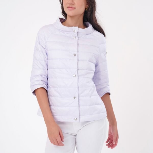 The Whistler Crop Sleeve Down Jacket