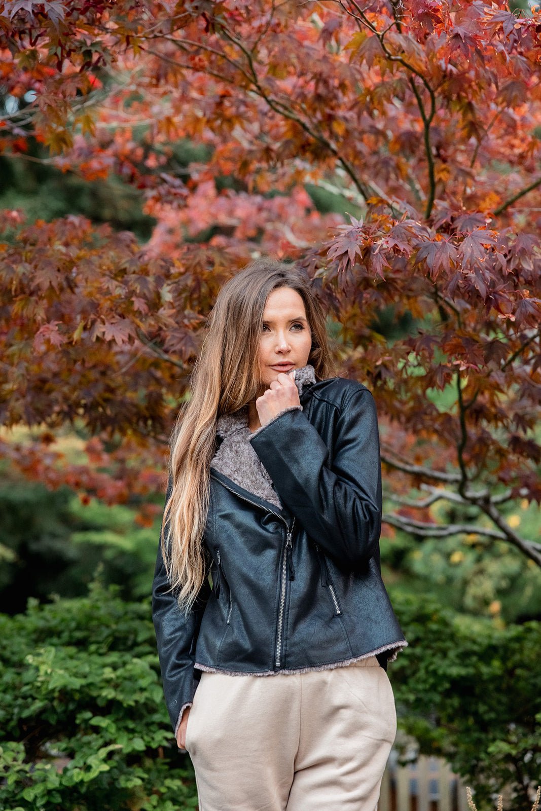 The Chinchilla Moto Jacket